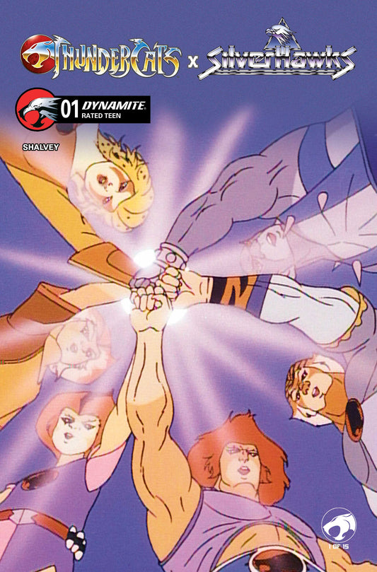THUNDERCATS X SILVERHAWKS #1 CVR E ANIMATION ART VARIANT