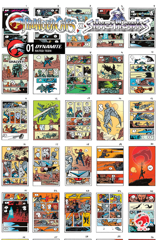 THUNDERCATS X SILVERHAWKS #1 CVR I INC 1:10 DECLAN SHALVEY LAYOUTS VARIANT